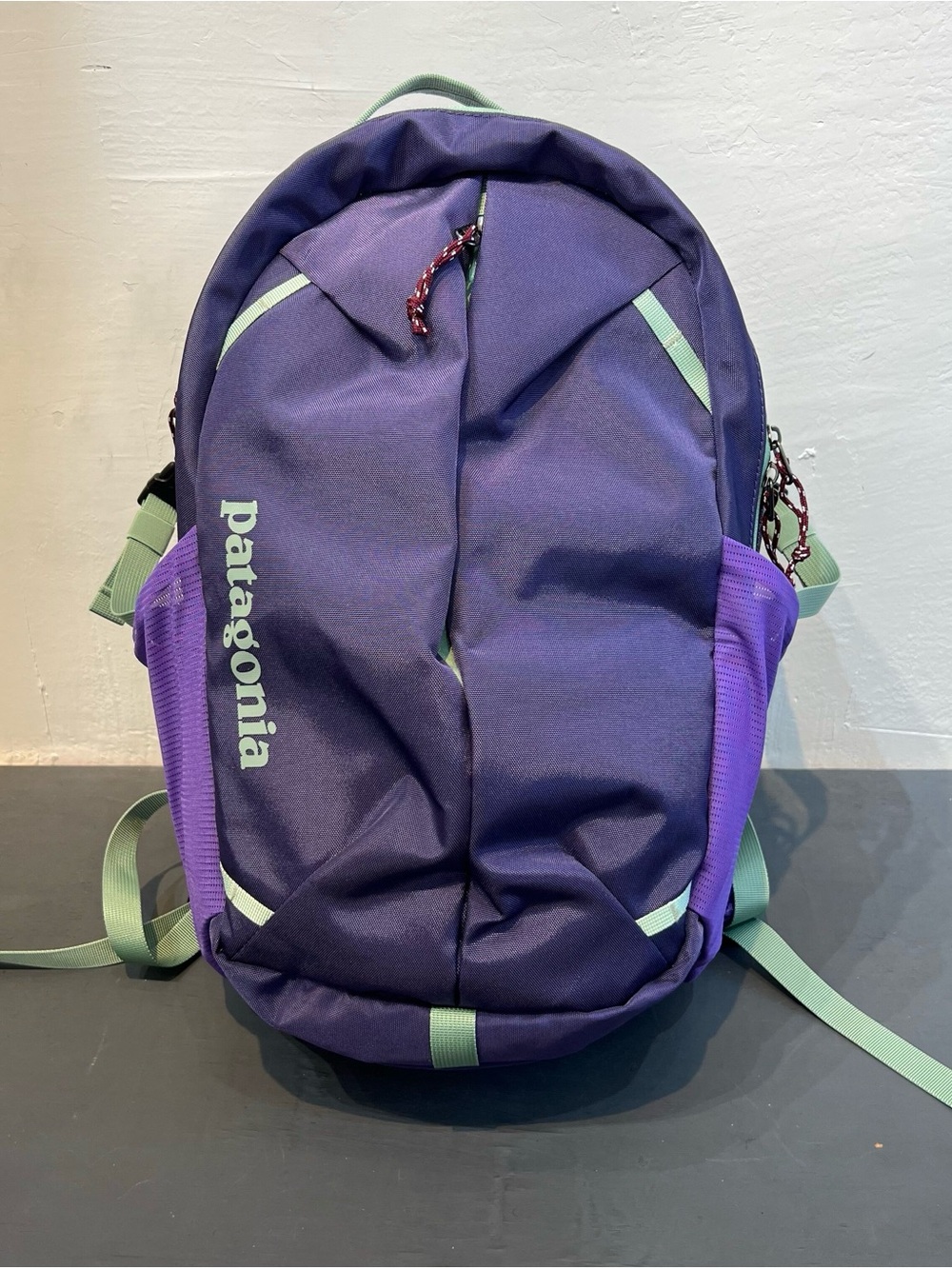 Patagonia Purple Backpack with Mint Green Accents